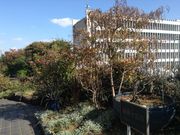 Ё[񂳂̖ڍ\ܒ̓eʐ^1