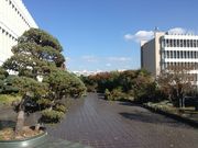 Ё[񂳂̖ڍ\ܒ̓eʐ^2