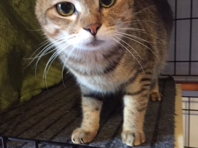 �Ƃ���A�������΂���V���񂳂�ł������A���łɂȂ���ł܂����`�l���������I��R�V��ł���܂���_�ی�L�J�t�F�@�ΔL