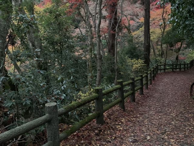 �g�t�J
_���ΎR�����̍g�t