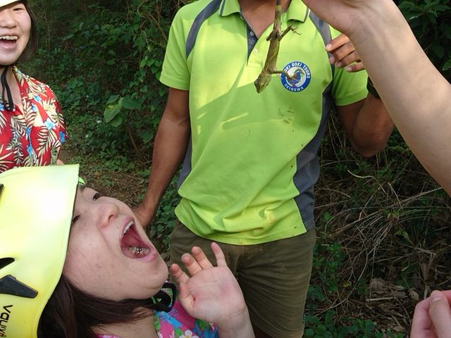 ȂJÎ悤ȒgJQĂ܂3.0ʂCXgN^[ł_KW}`[X