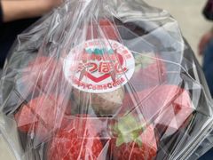 ̂̂킹͂邢_HappyComeComeւ̓eʐ^2