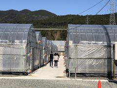 Nakosin̂񂢂t@[ւ̓eʐ^1