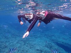 Ђ񂳂̐̓A@Dive@ւ̓eʐ^1