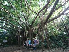 uttỹKW}`[Xւ̓eʐ^1