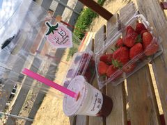 LStrawberry Farm No.15 ithe Farm UNIVERSAL jւ̓eʐ^1