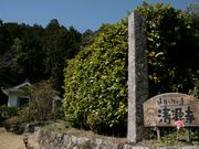 �g�~�[����̐������̓��e�ʐ^1