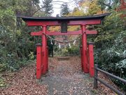 ΂̂Ƃ񂳂̉ΎR̍gt̓eʐ^1