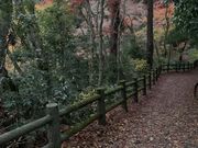 ΂̂Ƃ񂳂̉ΎR̍gt̓eʐ^3