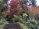 加茂のとしくんさんの加茂山公園の紅葉の投稿写真2