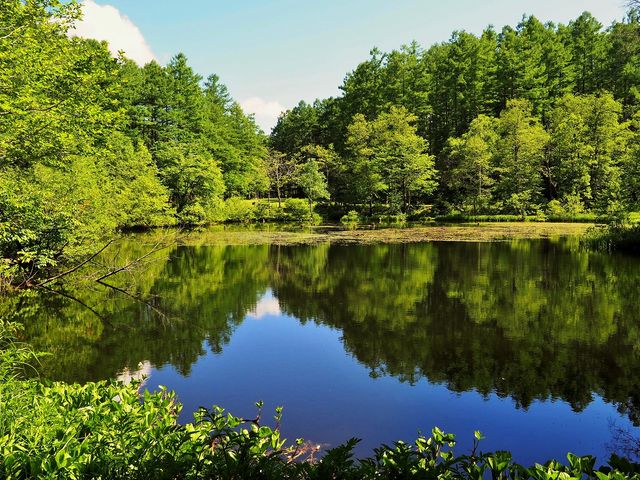 񂳂݂̂ǂ肪r̓eʐ^6