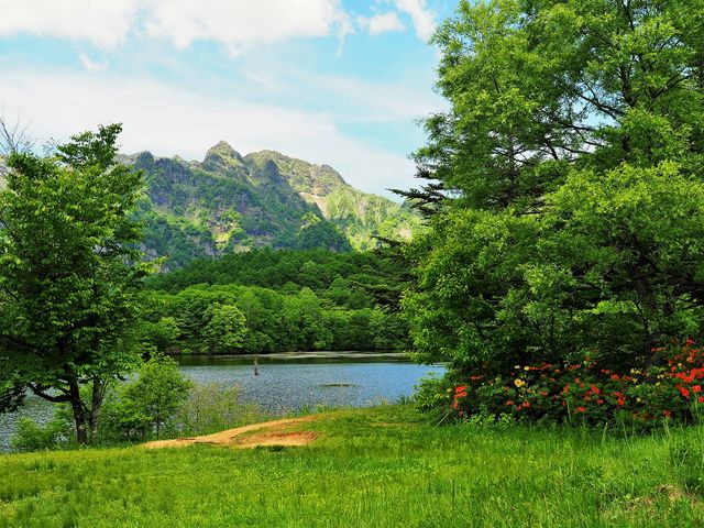 񂳂̌ˉB̃QccW̓eʐ^4