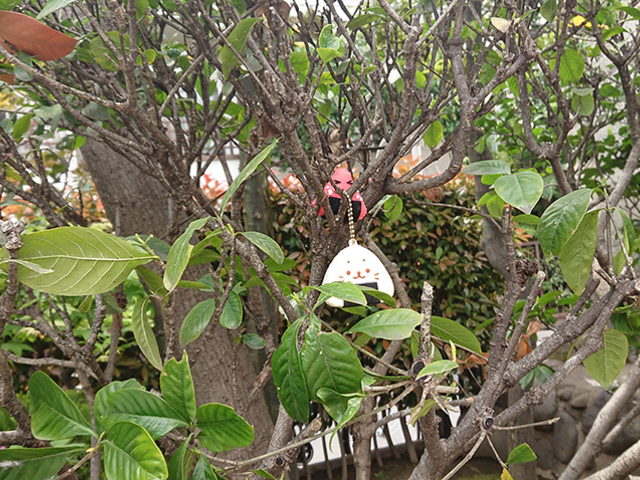 �X�g���b�v_���ؐ_��