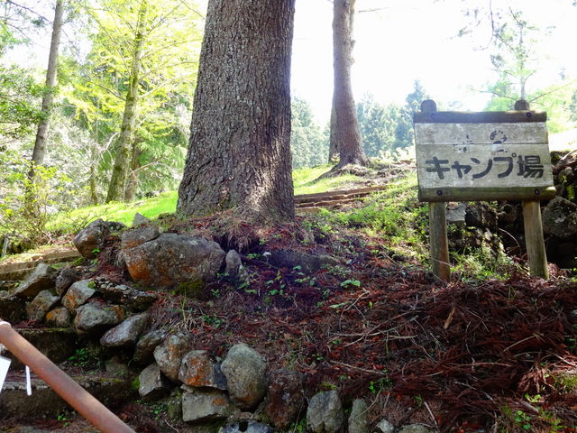 ǁ[̑]R̉ƃLv̓eʐ^1