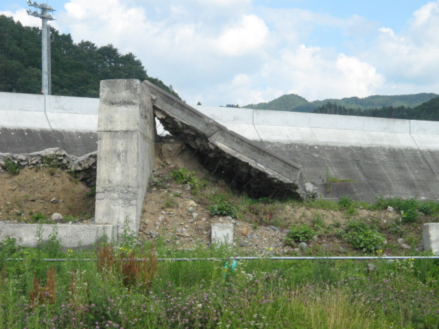 �j�󂳂ꂽ���h����_�c�V�̖h�g��