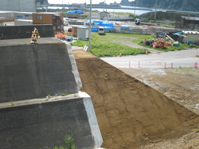 �Č���_�c�V�̖h�g��