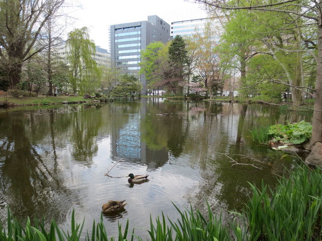 �~�n���̒r_�k�C�������{����(�Ԃ�񂪒���)