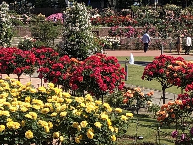 ���ԏ�ɒ����ƊÂ�����������܂��B
�l�X�Ȏ�ނ̊�������A���������𕥂��Ă��ꌩ�̉��l�͂���܂��B_�~�������΂牀