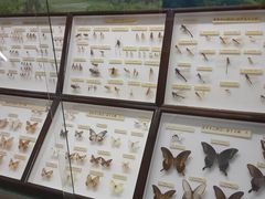 こんぱらさんの鳳来寺山自然科学博物館への投稿写真1