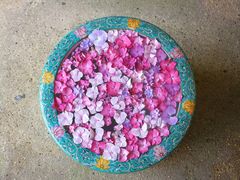 jR񂳂̈bώRւ̓eʐ^1