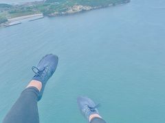 ̏MCpOC_[̌ւ̓eʐ^1