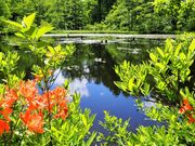 񂳂݂̂ǂ肪r̓eʐ^5