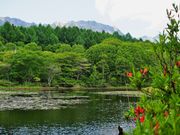 񂳂̌ˉB̃QccW̓eʐ^2