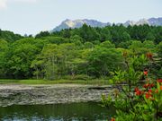 񂳂̌ˉB̃QccW̓eʐ^3