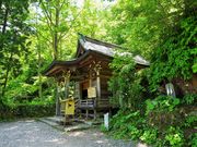 񂳂̌ˉB_Ё@㓪Ђ̓eʐ^2