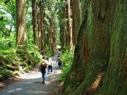 񂳂̌ˉB_Ё@㓪Ђ̓eʐ^3