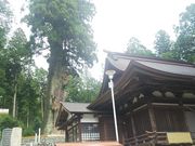 ݂ǂ肳̋vÔ{̓eʐ^3