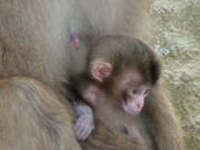 ���J����̒W�H�������L�[�Z���^�[�W�H�������L�[�Z���^�[�̓��e�ʐ^1