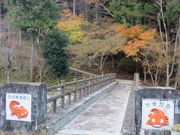 Ԃ񂳂̐Ԗڎl\Lv̓eʐ^1