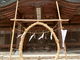 やんまあさんの住吉神社（長野県安曇野市）の投稿写真1