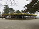 花ちゃんさんの松坂城跡（松阪公園）の藤の投稿写真1