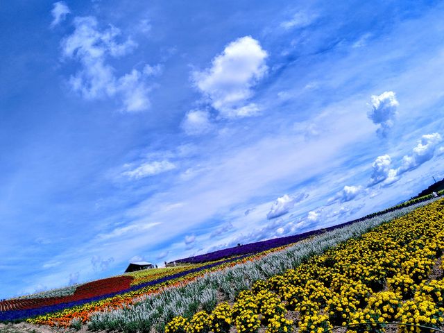 ̃x_[ϔᑐF̃RLAIn͔|̃gERVG߂⒲a܂B_̃t@[