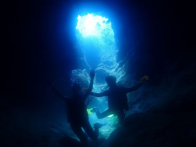 �����b�N�X�ł����������ŁA�ʐ^�̎��Ƀ|�[�Y����]�T�܂ŏo���܂����I_�ɍ]��Mariner