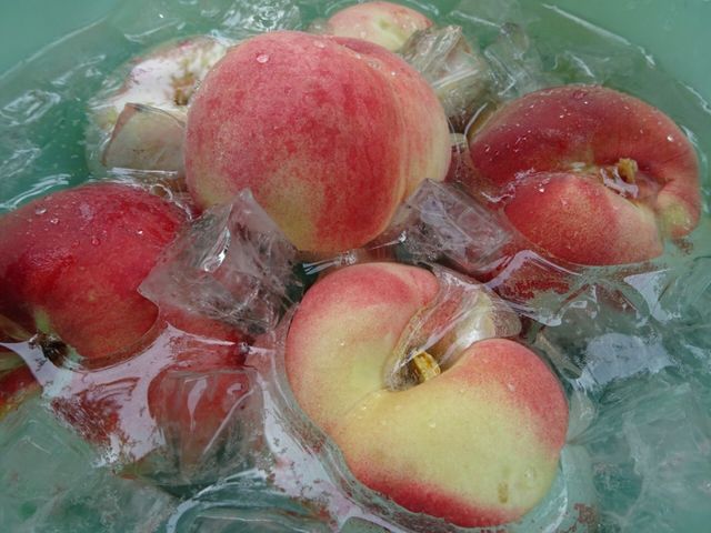 �L���L���ɗ�₵��������_�������̉���