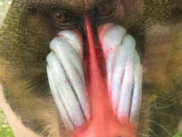 �h�A�b�v�I_���тЂ듮����