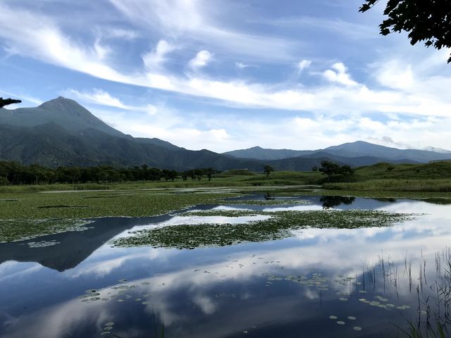 ��ΑO_�m���I�v�V���i���c�A�[�YSOT!