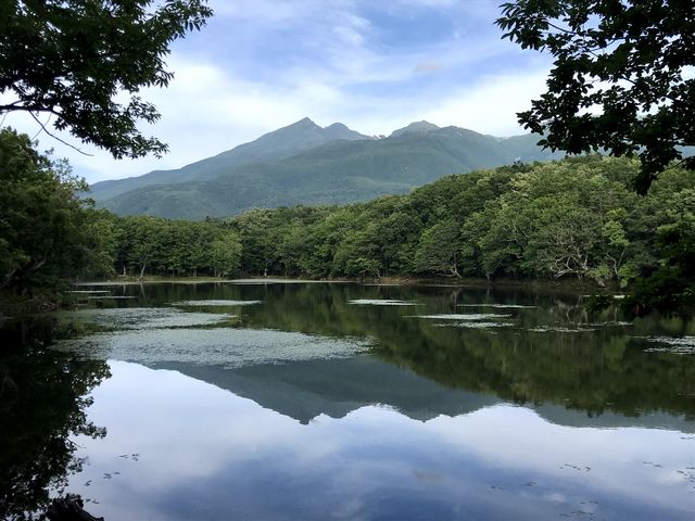 �l�Ήz���̗����R_�m���I�v�V���i���c�A�[�YSOT!