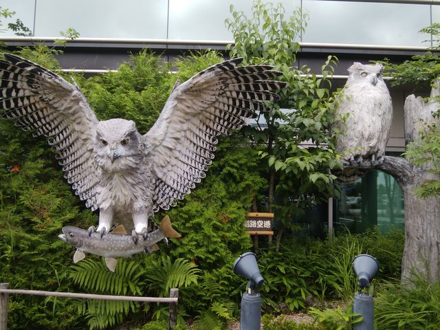 ȃVo}Ă܂B_Hsόēi񂿂傤H`j