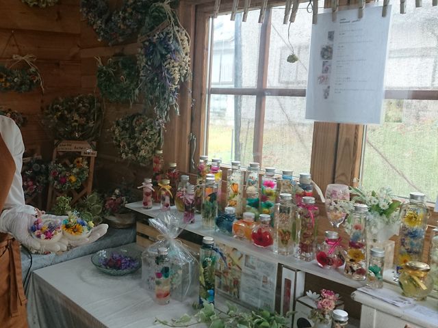 Yȃn[oEfGȍiĂ܂IDđfGȐ搶łI_Hako Niwa