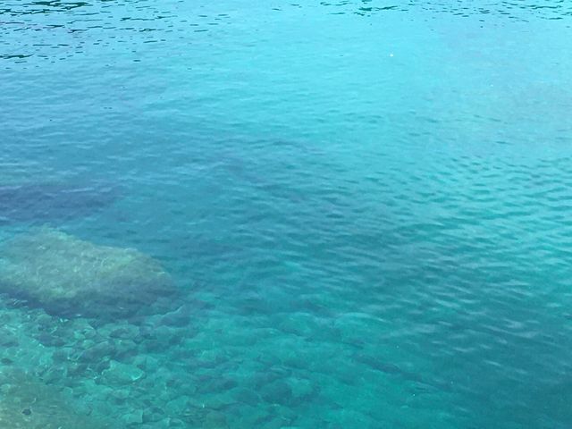 �G�������h�O���[���̊C�I
�������Y���_�����_�C�r���O�T�[�r�X�@Smiley Dive