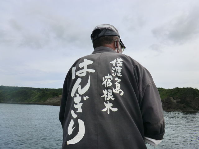 �͂񂬂�v�Ƃ͉����͂�Ԃ�ɐ؂��ďM�ɂ������̂̂��Ƃ������ł��B_�h���؂͂񂬂�(���炢�M)