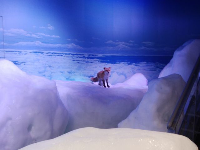 �Ă̏������ł����̂łƂĂ��������C�����ǂ������ł��B_�I�z�[�c�N���X��