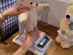 リニューアルされて もっと素敵な世界観 伊豆テディベア ミュージアムの口コミ じゃらんnet