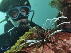 񂳂̈ɓ_CrOXN[ gbcւ̓eʐ^1