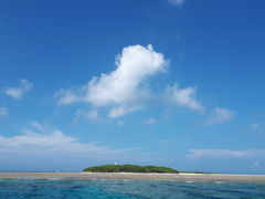 ݂͂̌cǊ(P})C攼cA[X@OPGւ̓eʐ^1