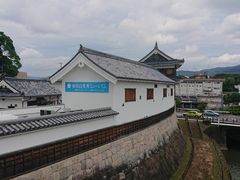 イ̕mRsLOpقւ̓eʐ^1